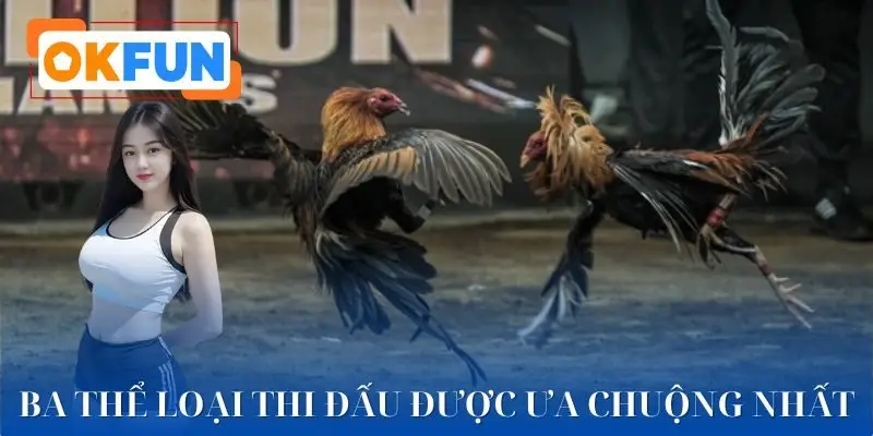 Hình thức đá gà trực tuyến được các kê thủ ưa chuộng nhất