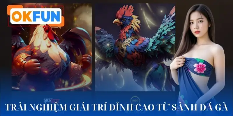 Sảnh đá gà OKFUN là lựa chọn giải trí hàng đầu