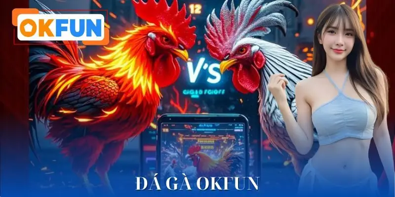 Đá Gà OKFUN